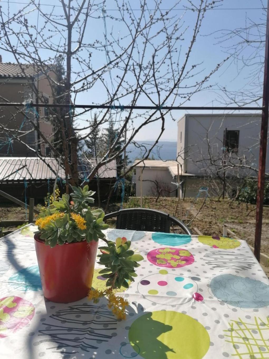 Apartments Olgi - Free Parking Crikvenica Exterior foto